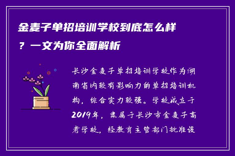 金麦子单招培训学校到底怎么样?一文为你全面解析