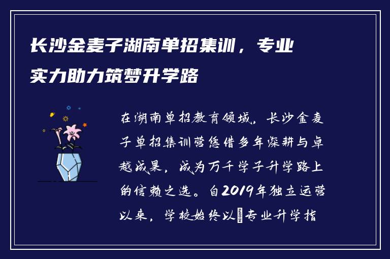 长沙金麦子湖南单招集训，专业实力助力筑梦升学路