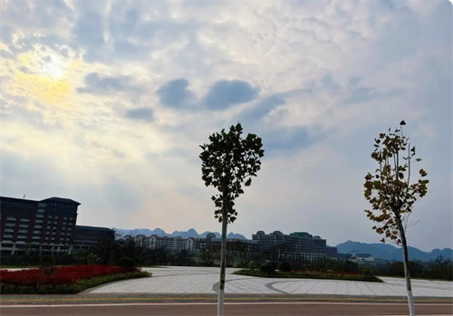 2026年金麦子单招培训基地简介​