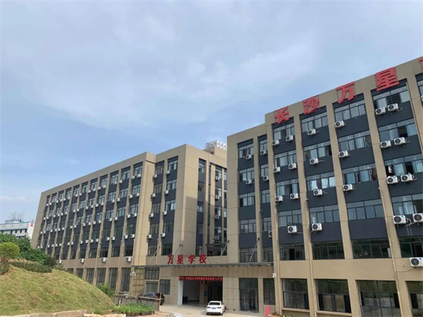 2026年长沙万星单招基地简章