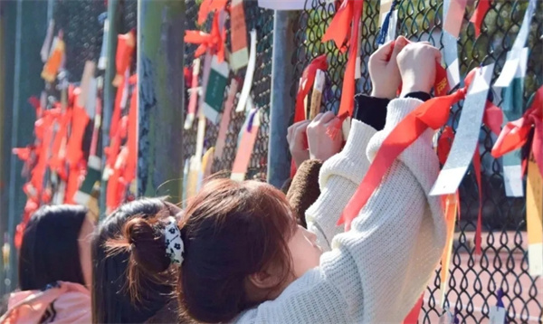 湖南山枫木悦单招基地环境