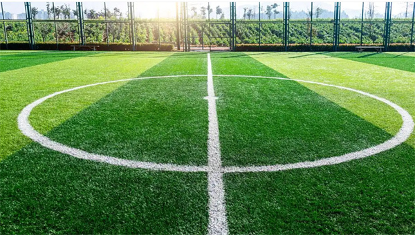 湖南众鑫单招教育衡阳分公司