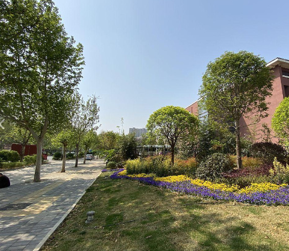 株洲新阳光单招培训