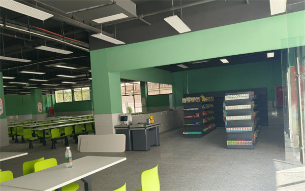 湖南君艺书院学校