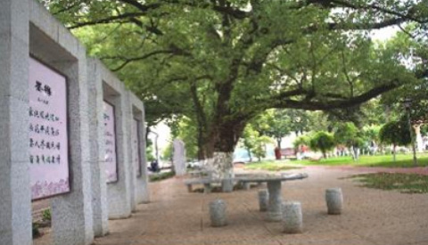 长沙市望城区职业中等专业学校