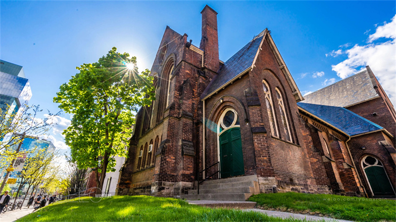 单招真的难吗？专业视角解析单招考试难度与备考策略