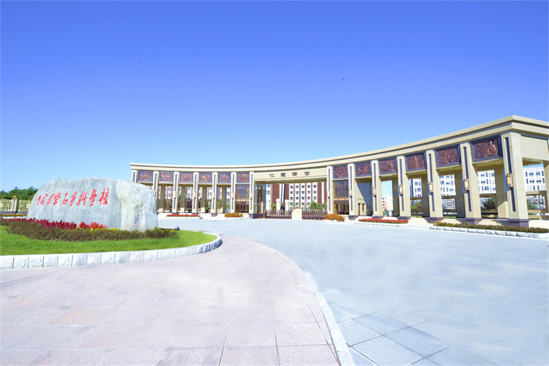 高考复读还是直接升学?如何做出最适合自己的选择?专家建议与经验分享