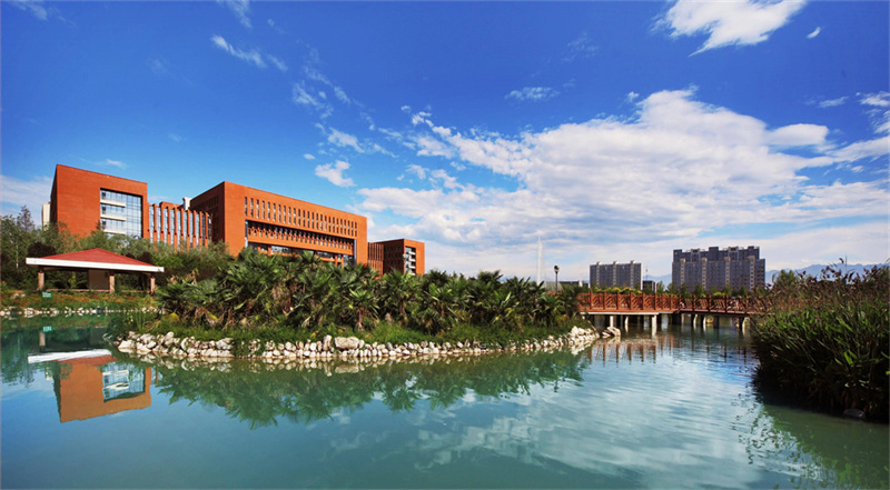 2025年金麦子湖南单招集训招生简章__2025年金麦子湖南单招集训招生简章