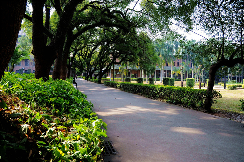 _娄底蓝圃学校复读部升学率_娄底高三复读学校