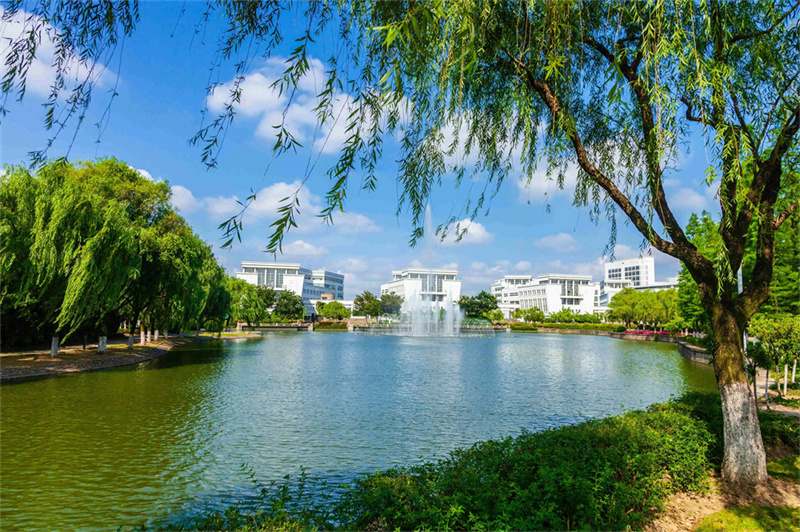 长沙云翼复读学校招生要求全解析，你想知道的都在这