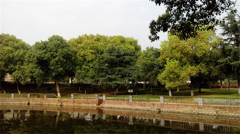 衡山复读学校_衡阳高考复读学校有哪些_