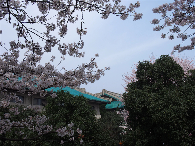 高考复读遇到新高考__蒙自市名流会所