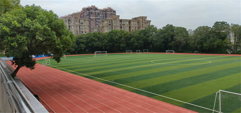 郴州市金海学校复读师资情况究竟如何？