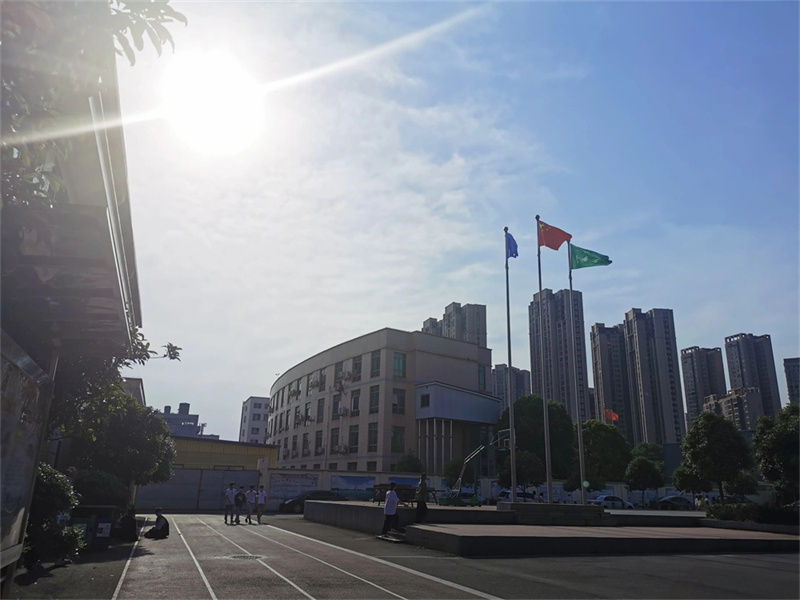 龙山中学复读__龙山高中学校