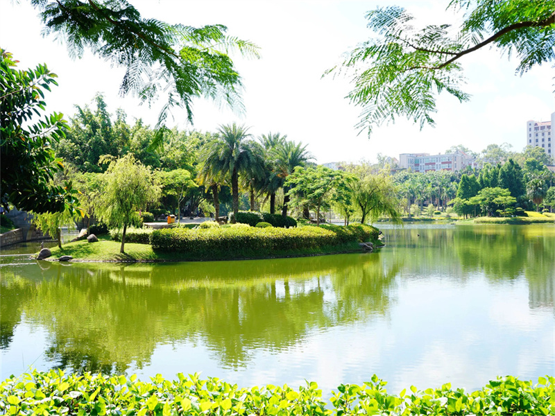 长沙金海谷郡高级中学复读招生政策，你了解多少？