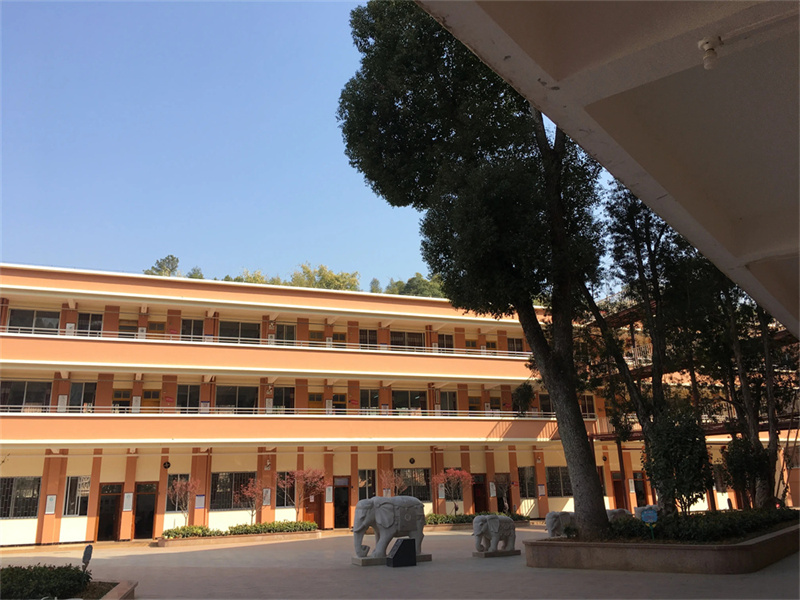 7月至8月复读前期：基础巩固计划全安排