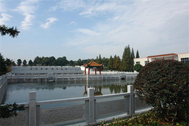 耒阳市振兴学校复读招生要求是什么？你知道吗？