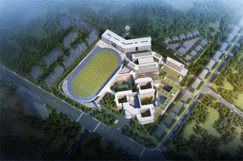 2025复读新规来袭！班主任揭秘5大挑战，逆袭之路不灭