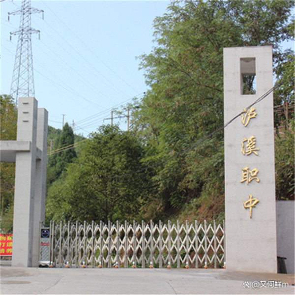 泸溪县第一职业中学