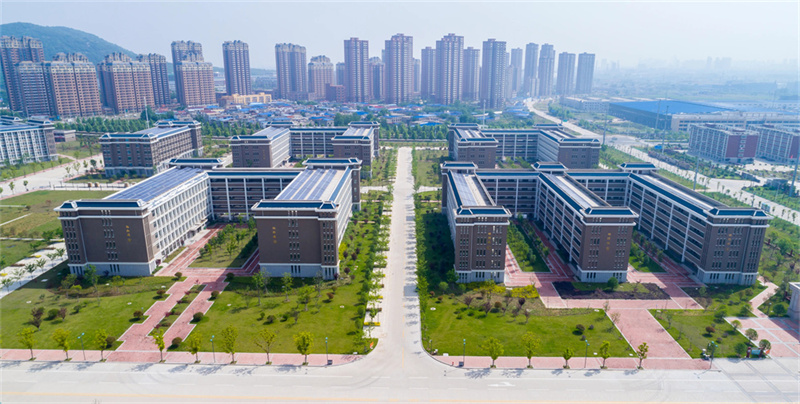 艺考生文化课:回学校还是去机构?怎么补课最有效