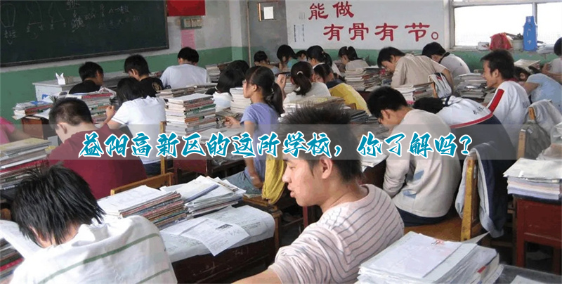益阳高新区的这所学校,你了解吗?
