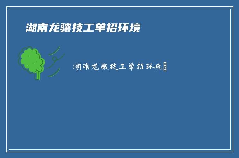  湖南龙骧技工单招环境​