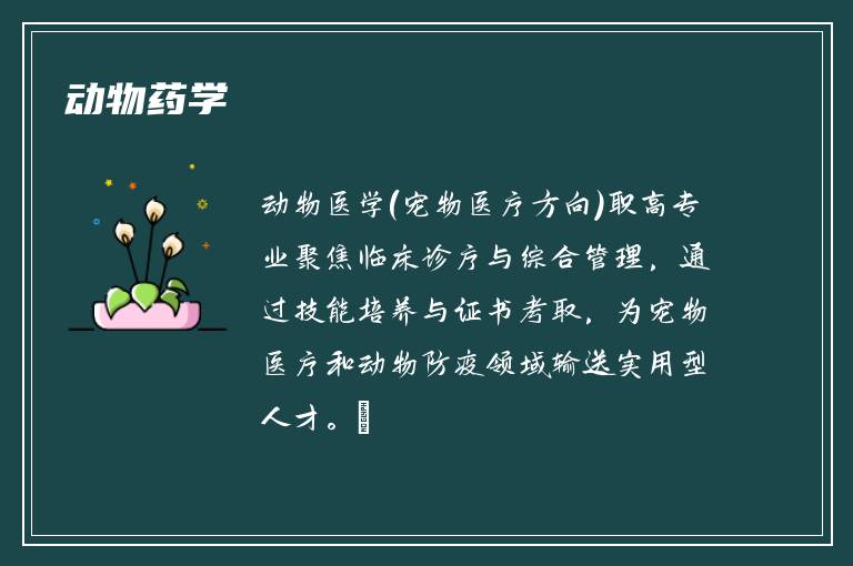 动物药学