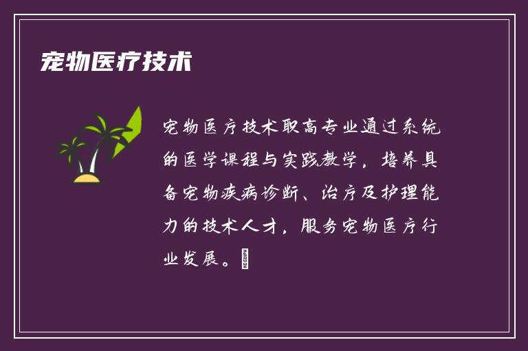 宠物医疗技术