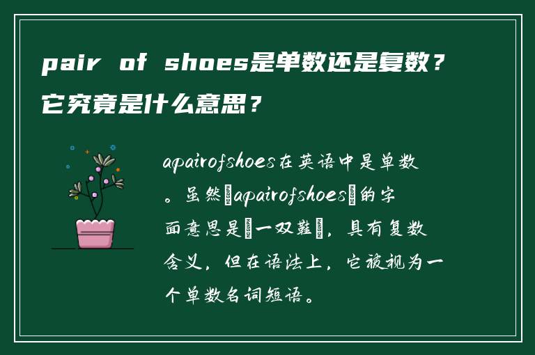 pair of shoes是单数还是复数？它究竟是什么意思？