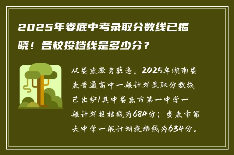 2025年娄底中考录取分数线已揭晓！各校投档线是多少分？