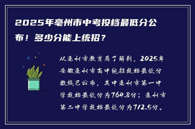 2025年亳州市中考投档最低分公布！多少分能上统招？