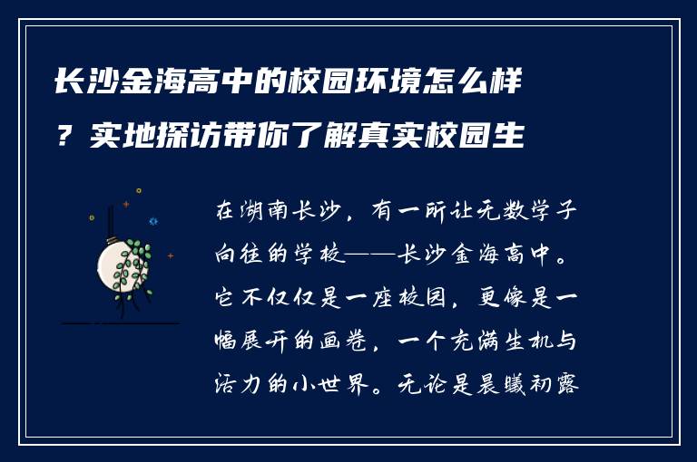 长沙金海高中的校园环境怎么样？实地探访带你了解真实校园生活