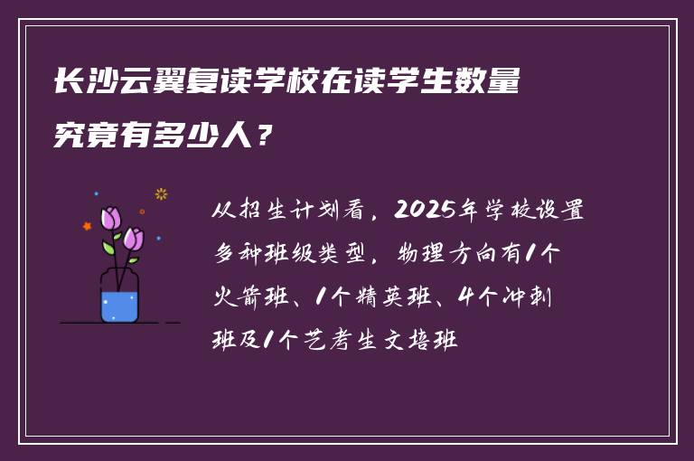 长沙云翼复读学校在读学生数量究竟有多少人？