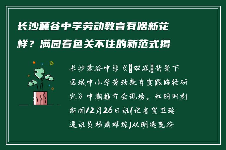 长沙麓谷中学劳动教育有啥新花样？满园春色关不住的新范式揭秘