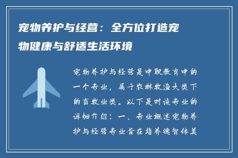 宠物养护与经营：全方位打造宠物健康与舒适生活环境