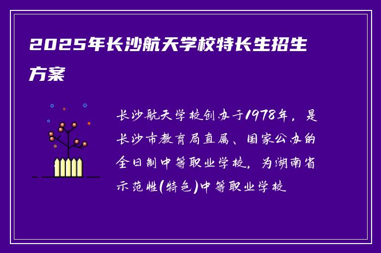 2025年长沙航天学校特长生招生方案