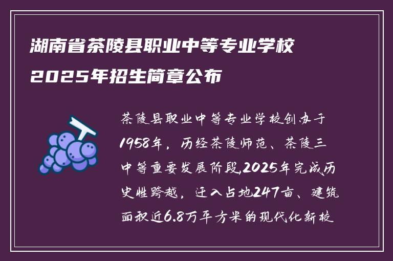 湖南省茶陵县职业中等专业学校2025年招生简章公布