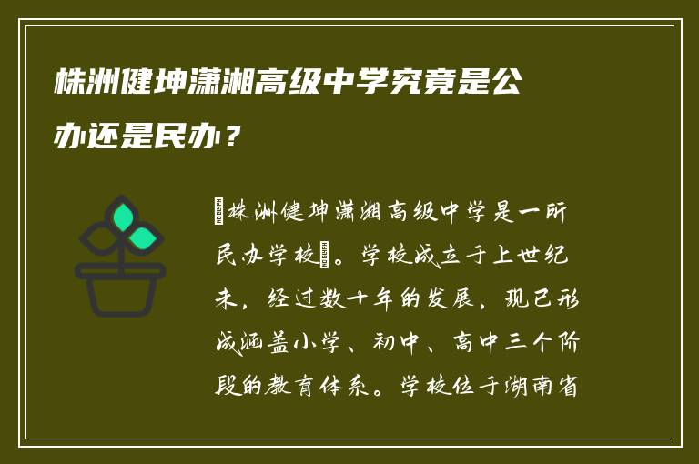 株洲健坤潇湘高级中学究竟是公办还是民办？