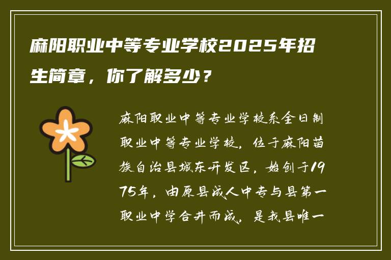麻阳职业中等专业学校2025年招生简章，你了解多少？