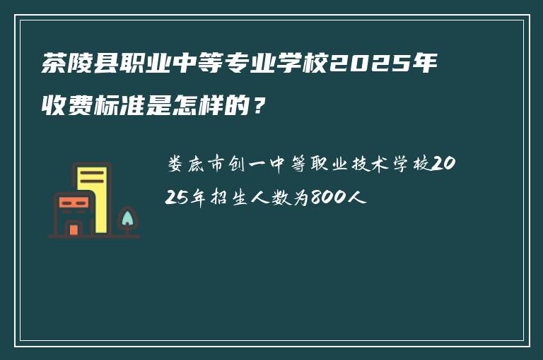 茶陵县职业中等专业学校2025年收费标准是怎样的？